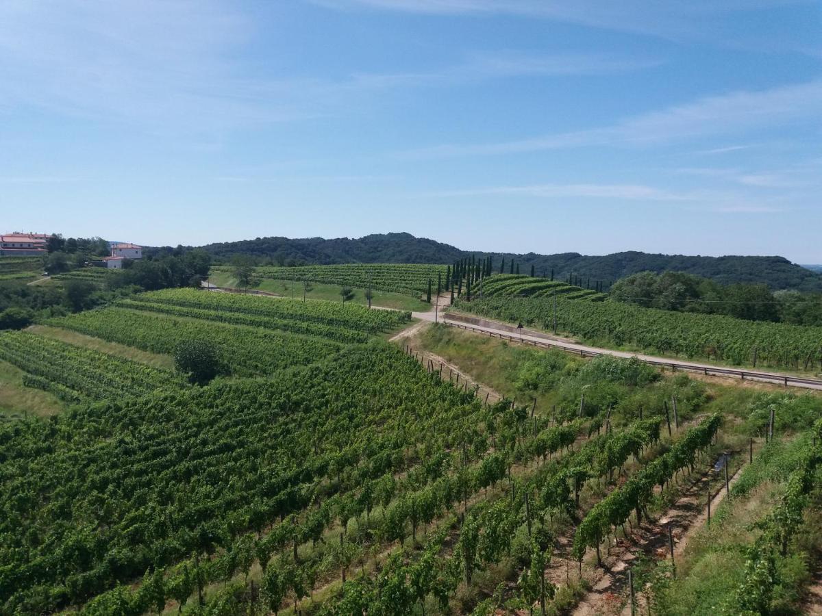 Agriturismo Casa Delle Rose Winery Ruttàrs Exterior foto