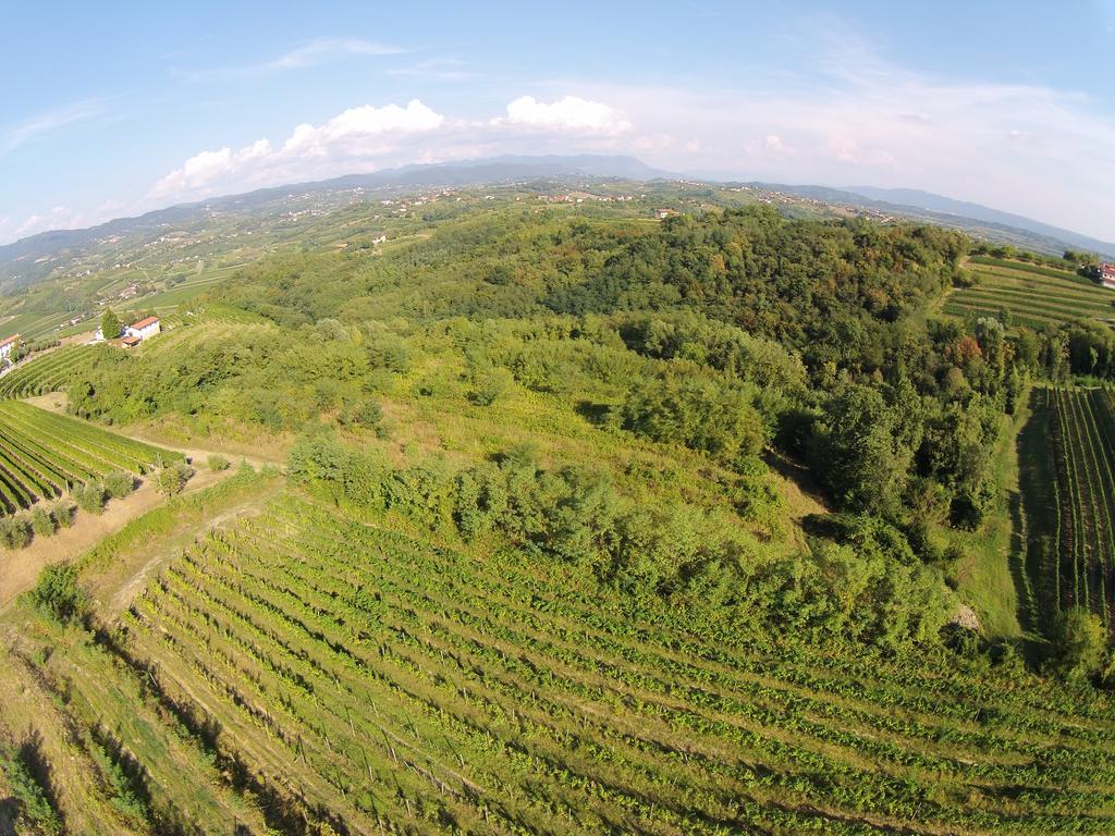 Agriturismo Casa Delle Rose Winery Ruttàrs Exterior foto
